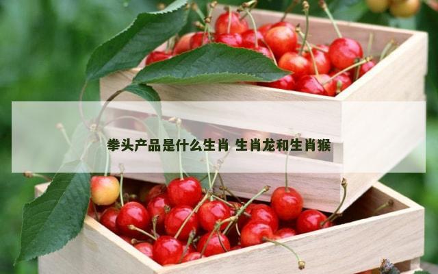 拳头产品是什么生肖 生肖龙和生肖猴