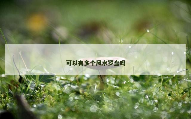 可以有多个风水罗盘吗