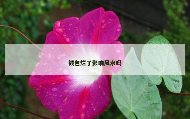 钱包烂了影响风水吗
