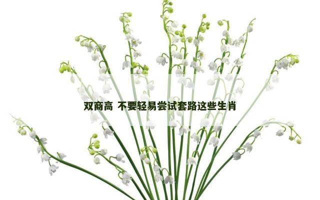 双商高 不要轻易尝试套路这些生肖