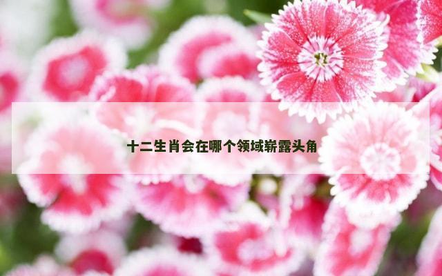十二生肖会在哪个领域崭露头角