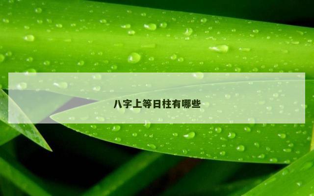 八字上等日柱有哪些