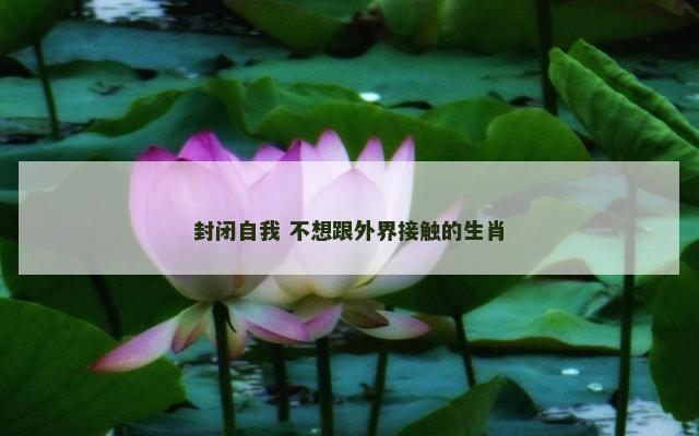 封闭自我 不想跟外界接触的生肖