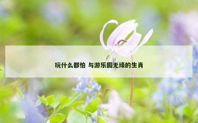 玩什么都怕 与游乐园无缘的生肖