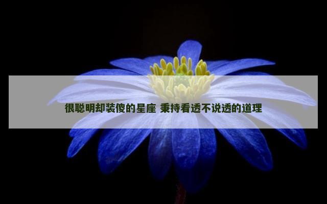很聪明却装傻的星座 秉持看透不说透的道理