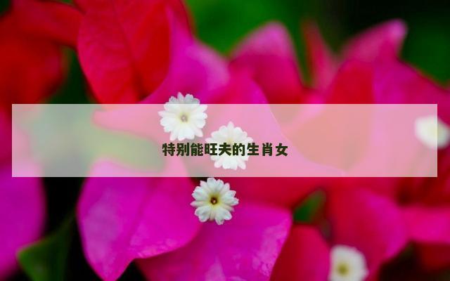 特别能旺夫的生肖女