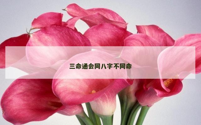 三命通会同八字不同命