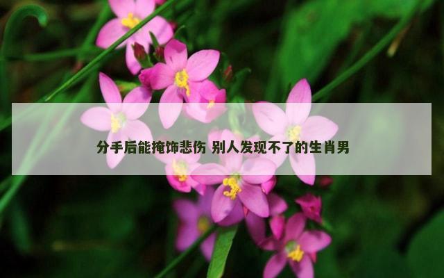 分手后能掩饰悲伤 别人发现不了的生肖男