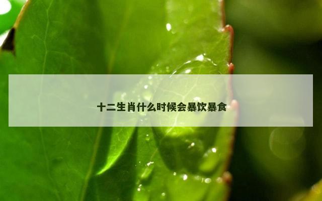 十二生肖什么时候会暴饮暴食