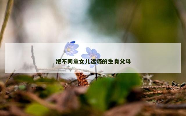 绝不同意女儿远嫁的生肖父母