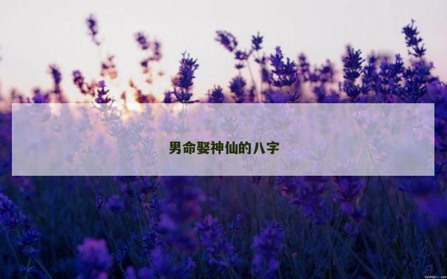 男命娶神仙的八字