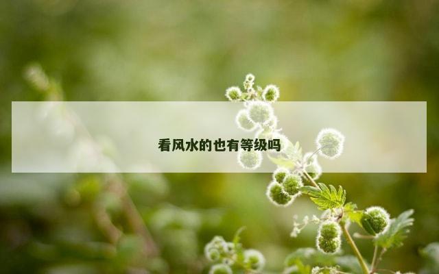 看风水的也有等级吗