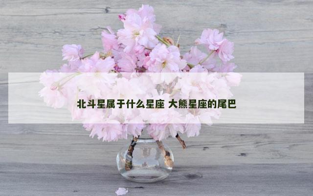 北斗星属于什么星座 大熊星座的尾巴