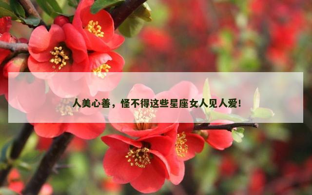 人美心善，怪不得这些星座女人见人爱！