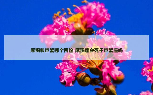 摩羯和巨蟹哪个阴险 摩羯座会死于巨蟹座吗