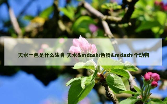 天水一色是什么生肖 天水—色猜—个动物
