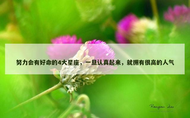 努力会有好命的4大星座，一旦认真起来，就拥有很高的人气