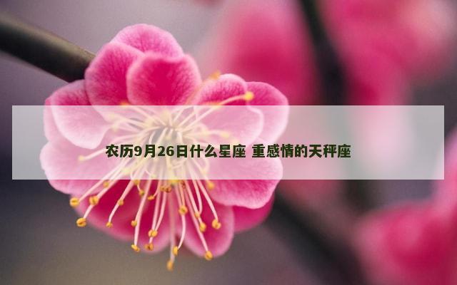 农历9月26日什么星座 重感情的天秤座
