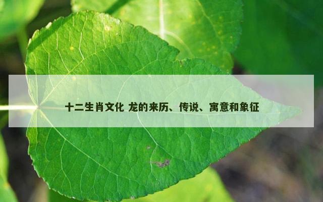 十二生肖文化 龙的来历、传说、寓意和象征