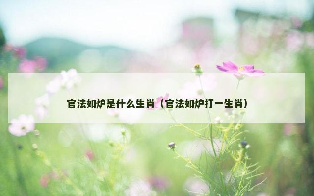 官法如炉是什么生肖（官法如炉打一生肖）