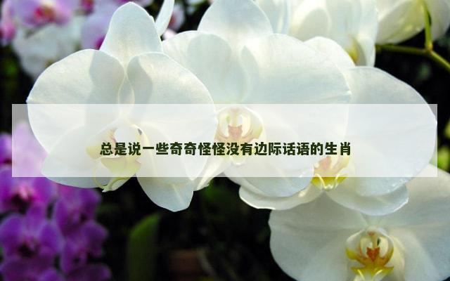 总是说一些奇奇怪怪没有边际话语的生肖