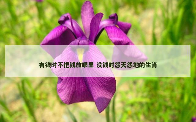 有钱时不把钱放眼里 没钱时怨天怨地的生肖
