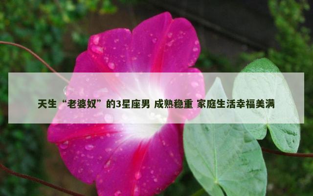 天生“老婆奴”的3星座男 成熟稳重 家庭生活幸福美满