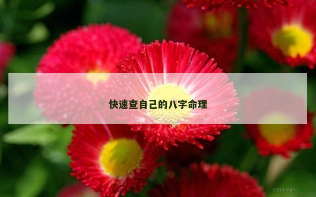 快速查自己的八字命理