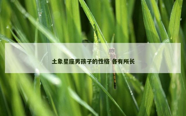 土象星座男孩子的性格 各有所长