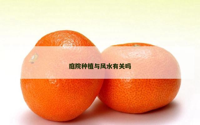 庭院种植与风水有关吗