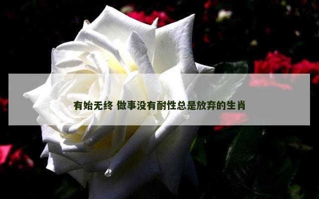 有始无终 做事没有耐性总是放弃的生肖