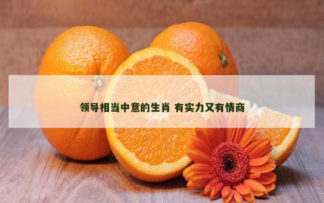 领导相当中意的生肖 有实力又有情商
