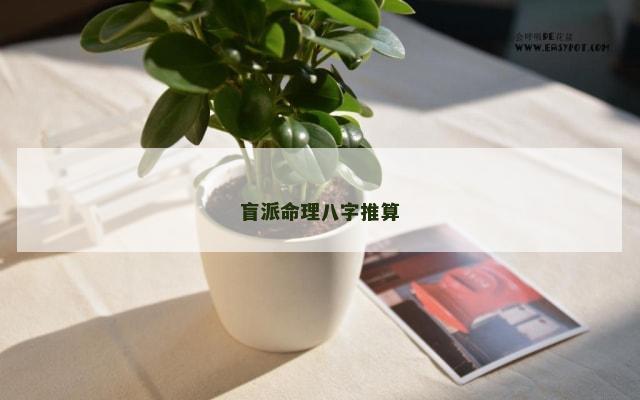 盲派命理八字推算