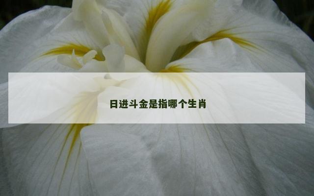 日进斗金是指哪个生肖