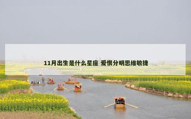 11月出生是什么星座 爱恨分明思维敏捷
