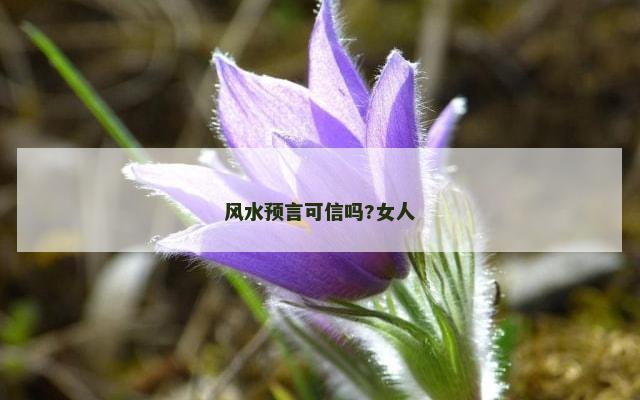 风水预言可信吗?女人