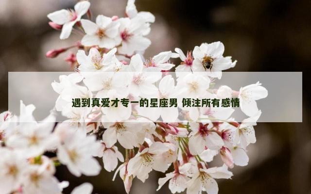 遇到真爱才专一的星座男 倾注所有感情
