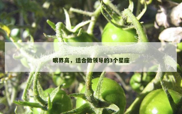 眼界高，适合做领导的3个星座