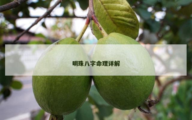 明珠八字命理详解