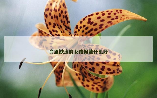 命里缺水的女孩佩戴什么好