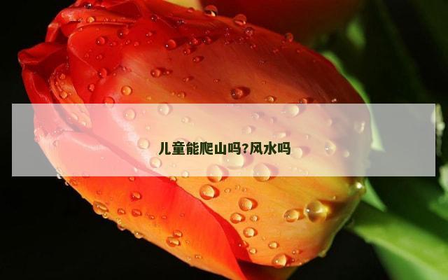 儿童能爬山吗?风水吗