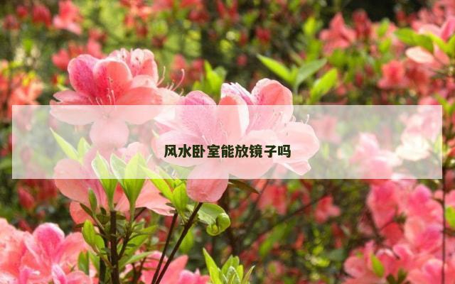 风水卧室能放镜子吗