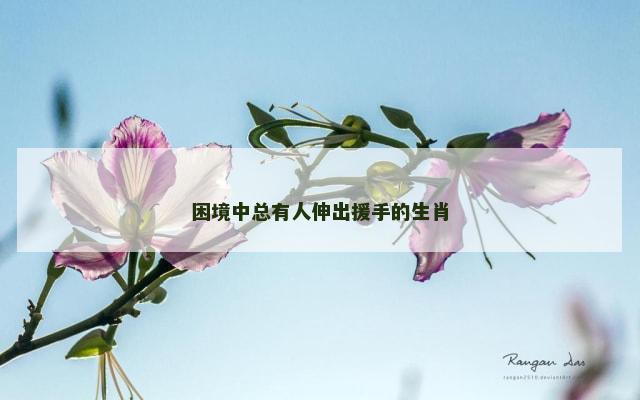 困境中总有人伸出援手的生肖