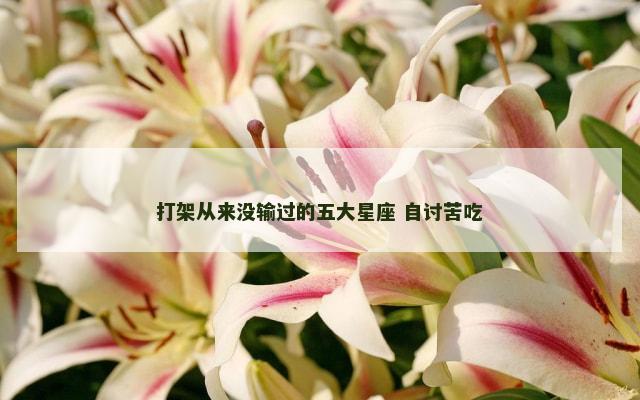打架从来没输过的五大星座 自讨苦吃