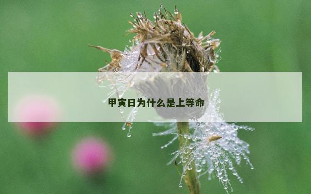 甲寅日为什么是上等命