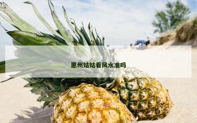 惠州姑姑看风水准吗