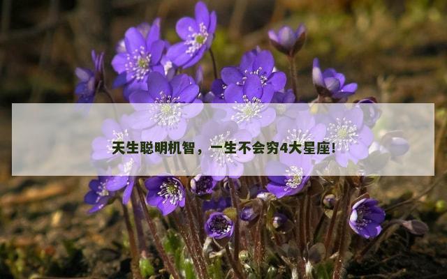 天生聪明机智，一生不会穷4大星座！