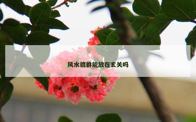 风水貔貅能放在玄关吗