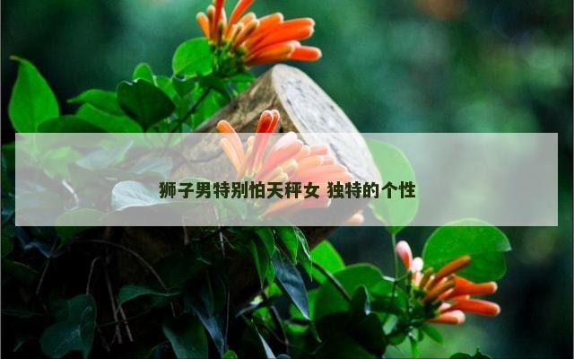 狮子男特别怕天秤女 独特的个性