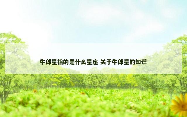 牛郎星指的是什么星座 关于牛郎星的知识